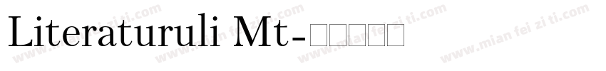 Literaturuli Mt字体转换